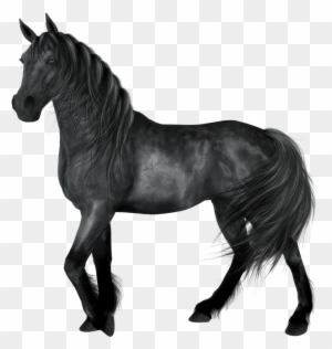 Black Horse Clipart - Black Horse Png - Free Transparent PNG Clipart Images Download. - Horse Transparent PNG Free Download