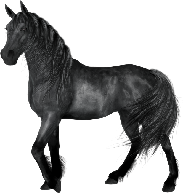 Black Horse Clipart - Black Horse Png - Free Transparent PNG Clipart Images Download. - Horse Transparent PNG Free Download