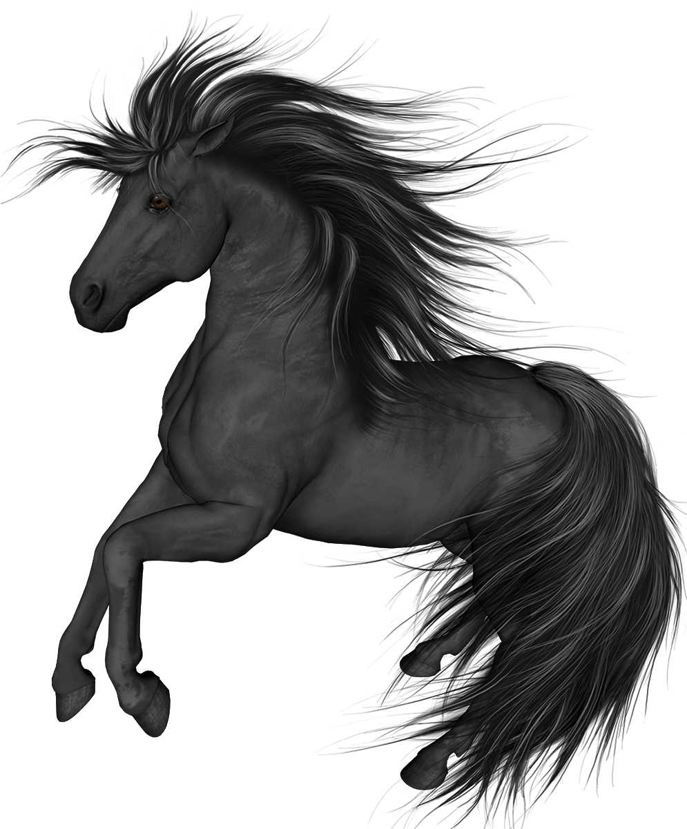 Black Horse Png Clip Art - Black Horse Clip Art - Free Transparent PNG Clipart Images Download. - Horse Transparent PNG Free Download