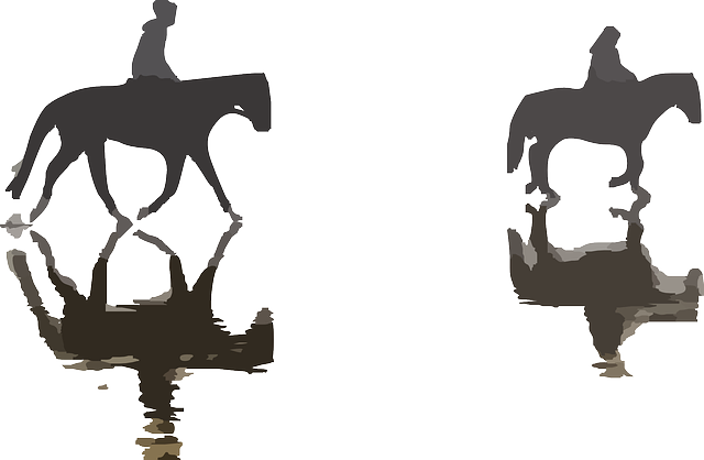 Horses, Riding, Reflection, Animal, Horse - Maui Horseback Riding On Beach - Free Transparent PNG Clipart Images Download. - Horse Transparent PNG Free Download
