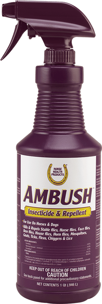 Fly Protection For Your Horses And Dogs - Farnam Ambush Insecticide & Repellent Spray 32 Transparent PNG - 1000x1000 - Free Download on - Horse Transparent PNG Free Download