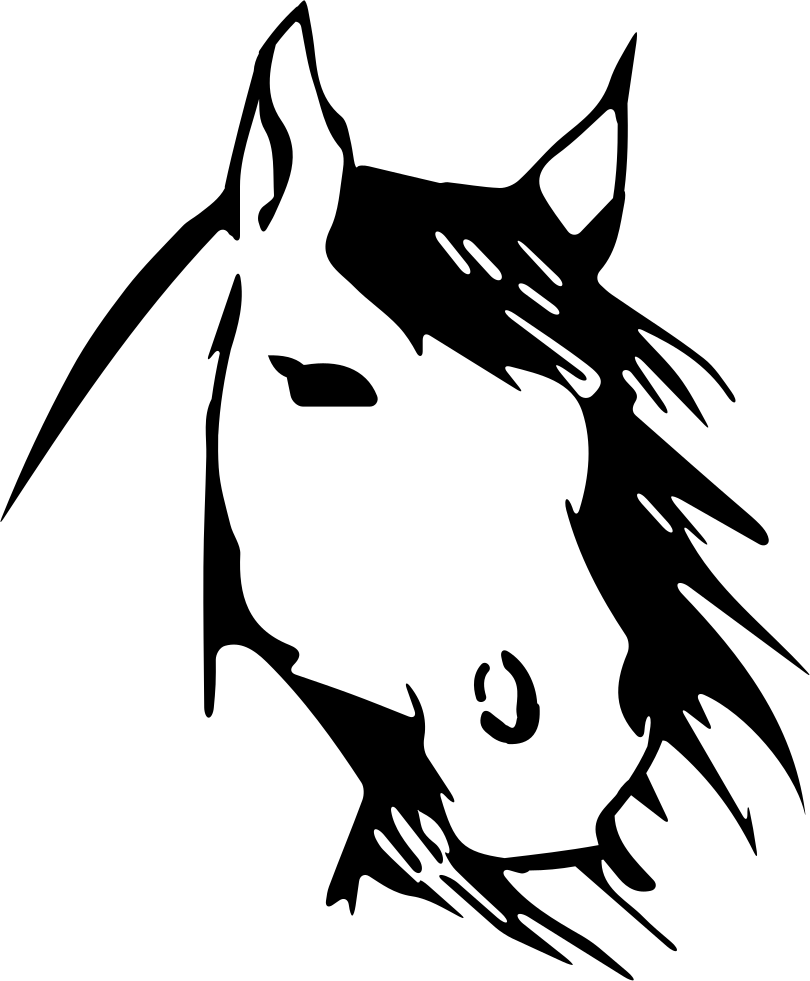 Horse Face Png - Clipart Horse Face Png, Transparent - Horse Transparent PNG Free Download