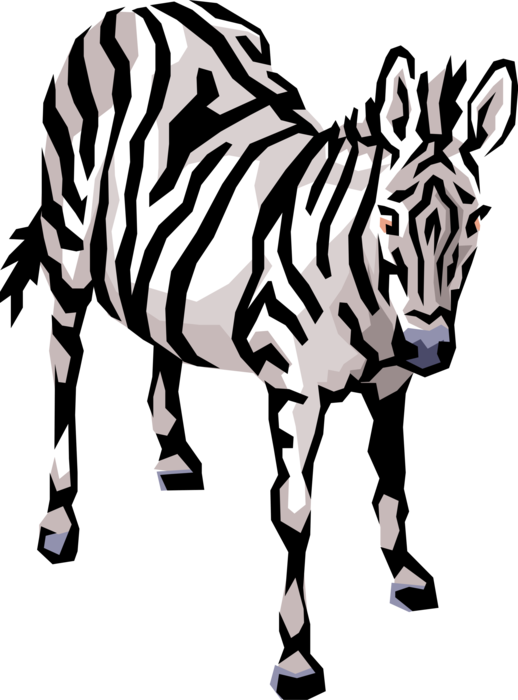Vector Illustration Of Striped African Zebra Horse - Cliparts Of Animals To Download Transparent PNG - 518x700 - Free Download on - Horse Transparent PNG Free Download