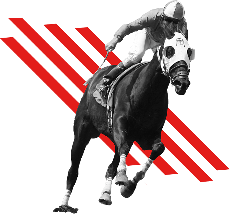 Woodbine Events 2018 Recap - Horse Racing Transparent Clip Art Transparent PNG - 752x700 - Free Download on - Horse Transparent PNG Free Download