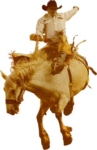 Free Rodeo Clipart Signspecialist Com General Decals - Cowboy With Horse Png - Free Transparent PNG Clipart Images Download. - Horse Transparent PNG Free Download