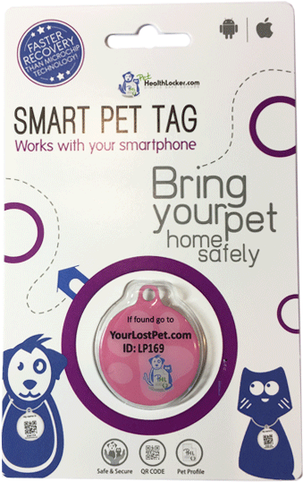 Pethealthlocker Smart Pet Tag - Pet Health Locker Smart Pet Tag Small Blue - Free Transparent PNG Clipart Images Download. - Horse Transparent PNG Free Download