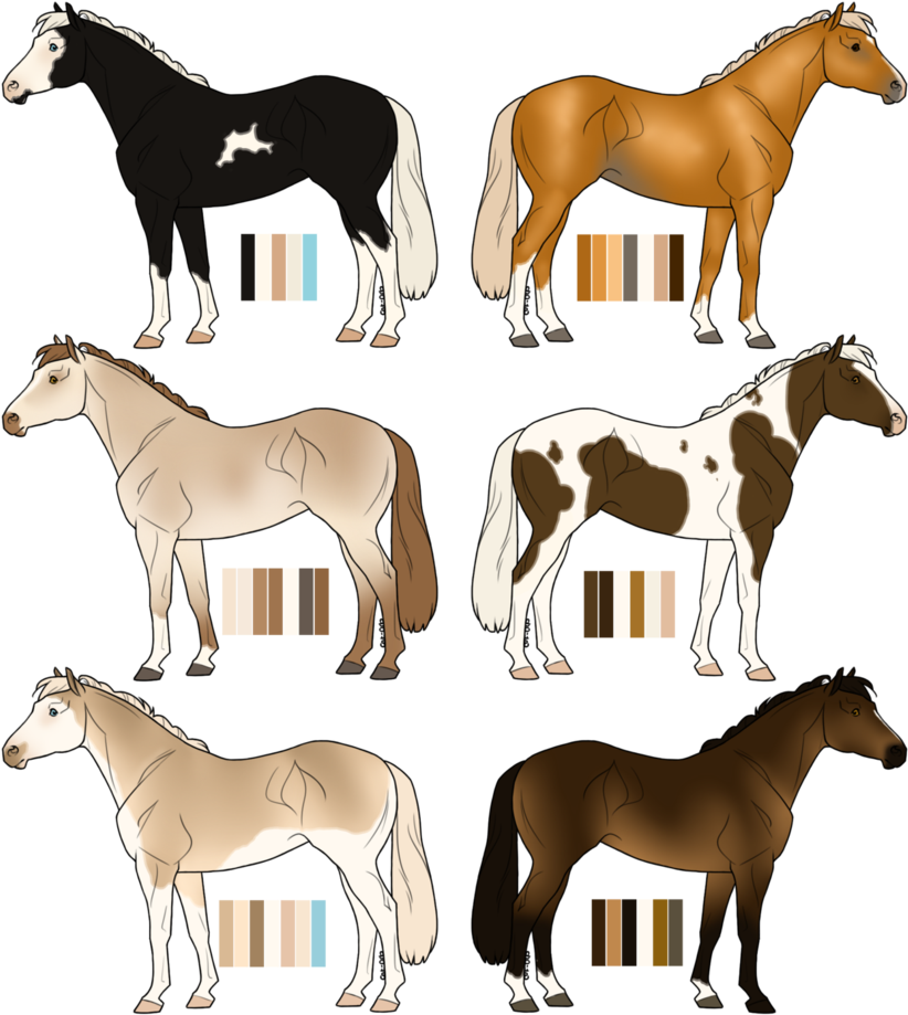 Irish Sport Horse Adopts 02 By Flamestorm11 - Foal - Free Transparent PNG Clipart Images Download. - Horse Transparent PNG Free Download