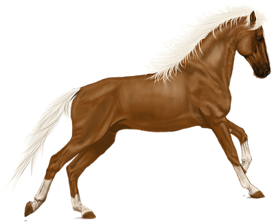 Horse Art Digital Artwork Horse Horse Hors - Horse - Free Transparent PNG Clipart Images Download. - Horse Transparent PNG Free Download