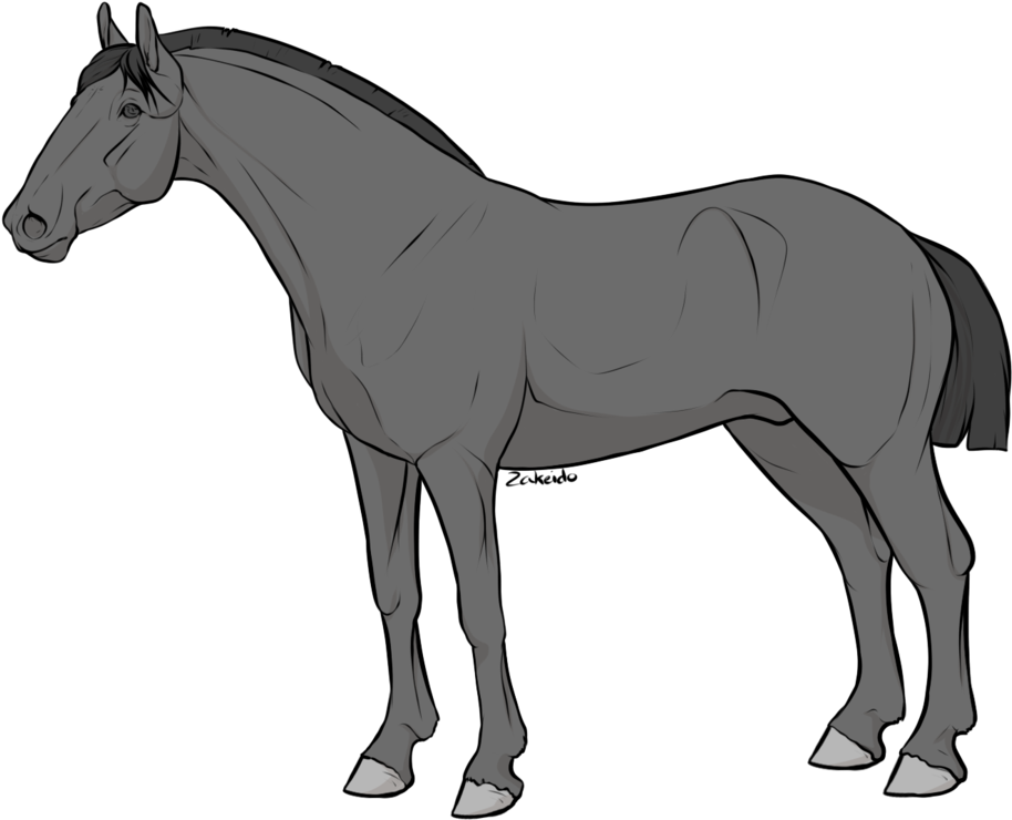 [pay To Use] Horse Lineart By Zakeido - Horse - Free Transparent PNG Clipart Images Download. - Horse Transparent PNG Free Download