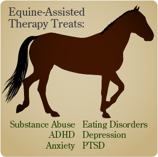 Straight From The Horse's Mouth - Learn Horseback Riding In A Weekend [book] - Free Transparent PNG Clipart Images Download. - Horse Transparent PNG Free Download