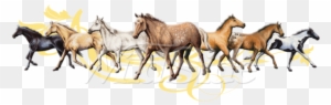 Herd Of Horses With Tribal Design - Foal - Free Transparent PNG Clipart Images Download. - Horse Transparent PNG Free Download