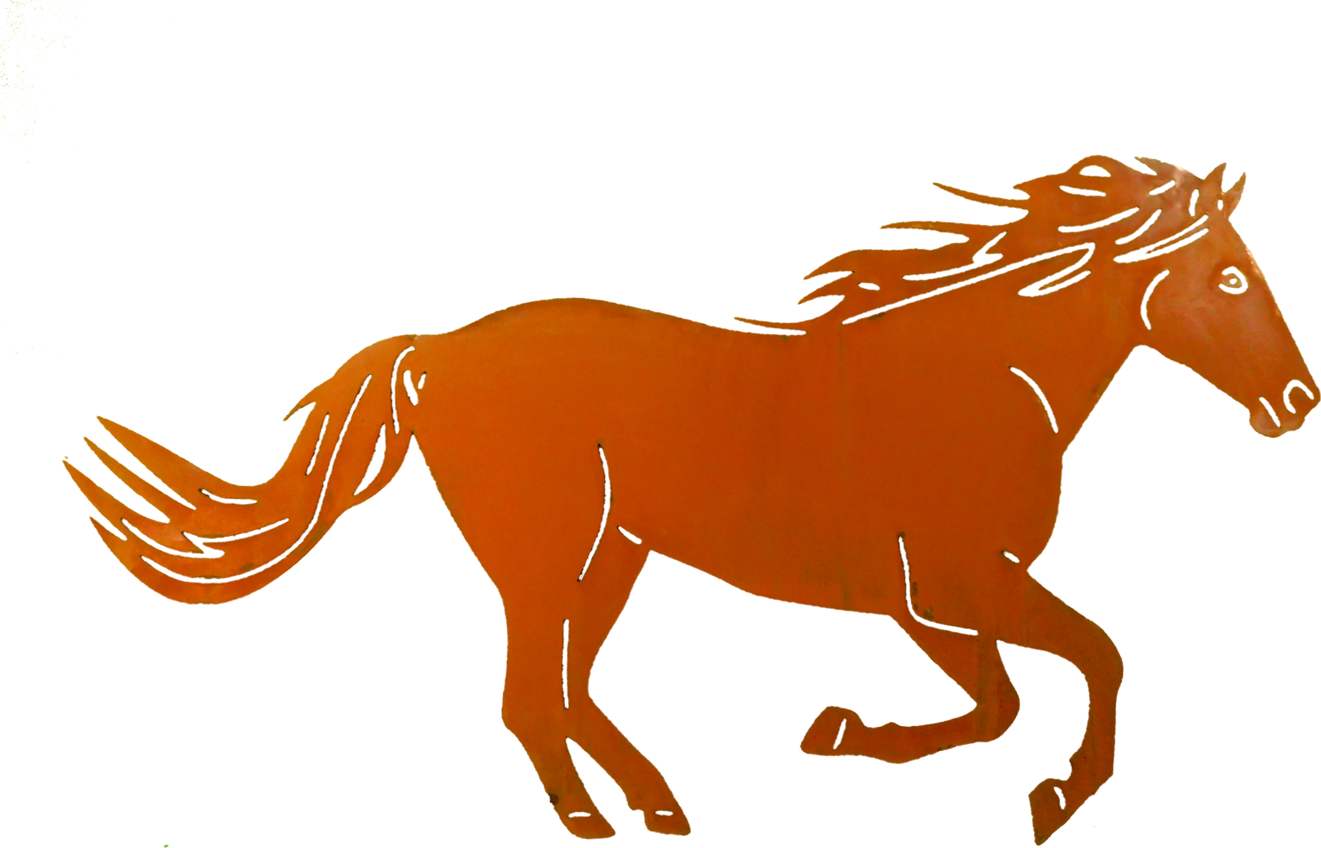 Large Horse Detailed Larger Image - Mb - Horse Mom & Baby Foal - Laptop Vinyl Decal - Free Transparent PNG Clipart Images Download. - Horse Transparent PNG Free Download