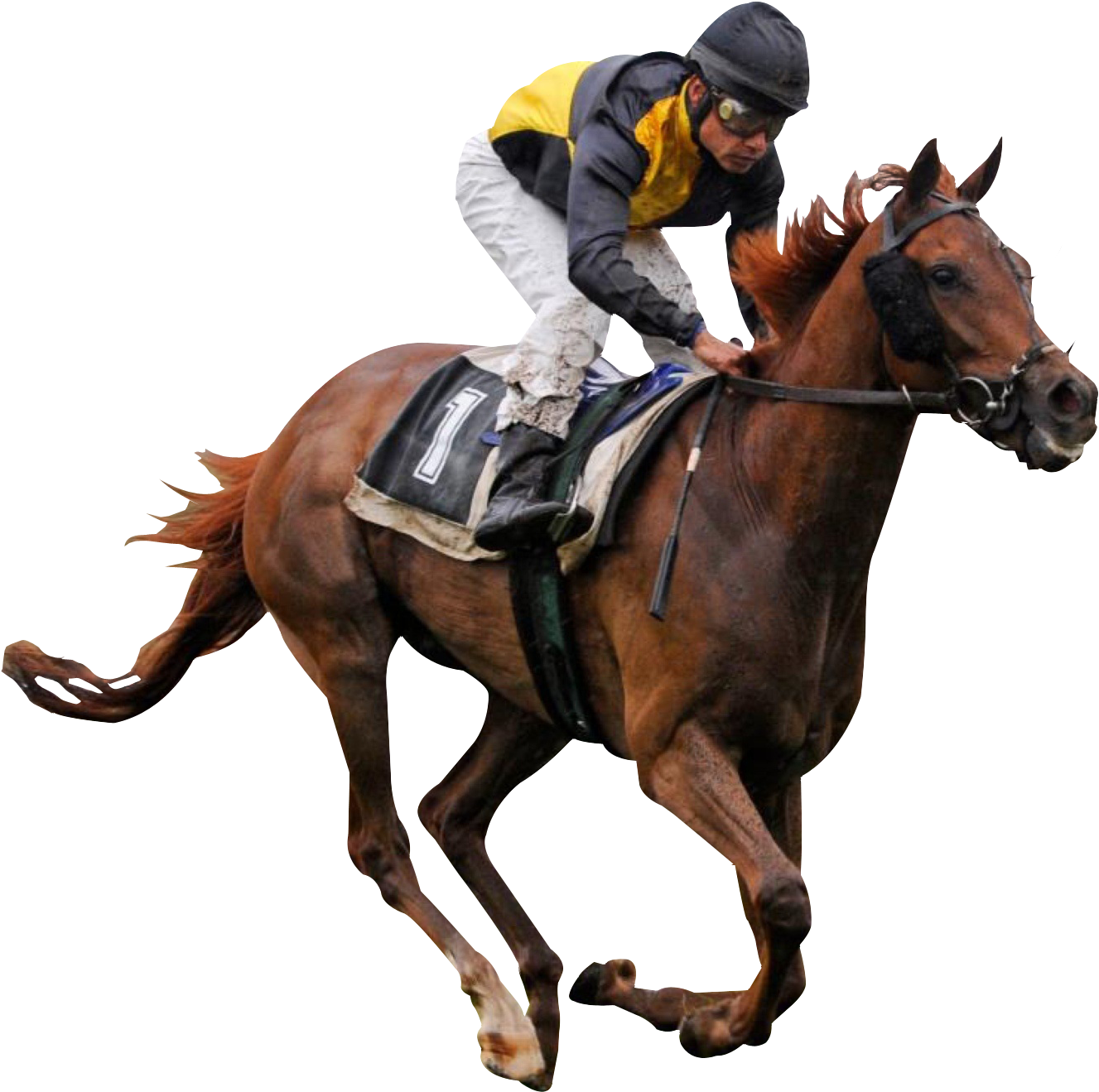 Cowboy Riding Horse Clip Art For Kids - Racing Horse Png - Free Transparent PNG Clipart Images Download. - Horse Transparent PNG Free Download
