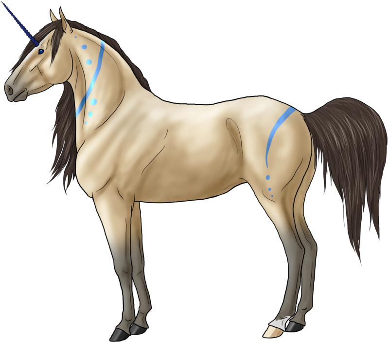 Spirit Horse Drawings Download - Stallion - Free Transparent PNG Clipart Images Download. - Horse Transparent PNG Free Download
