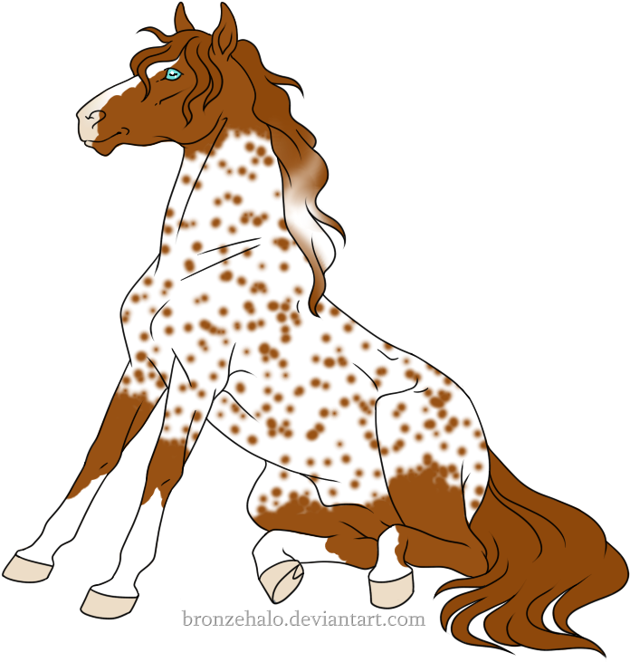 Irish Sport Horse/appaloosa - Irish Sport Horse/appaloosa - Free Transparent PNG Clipart Images Download. - Horse Transparent PNG Free Download