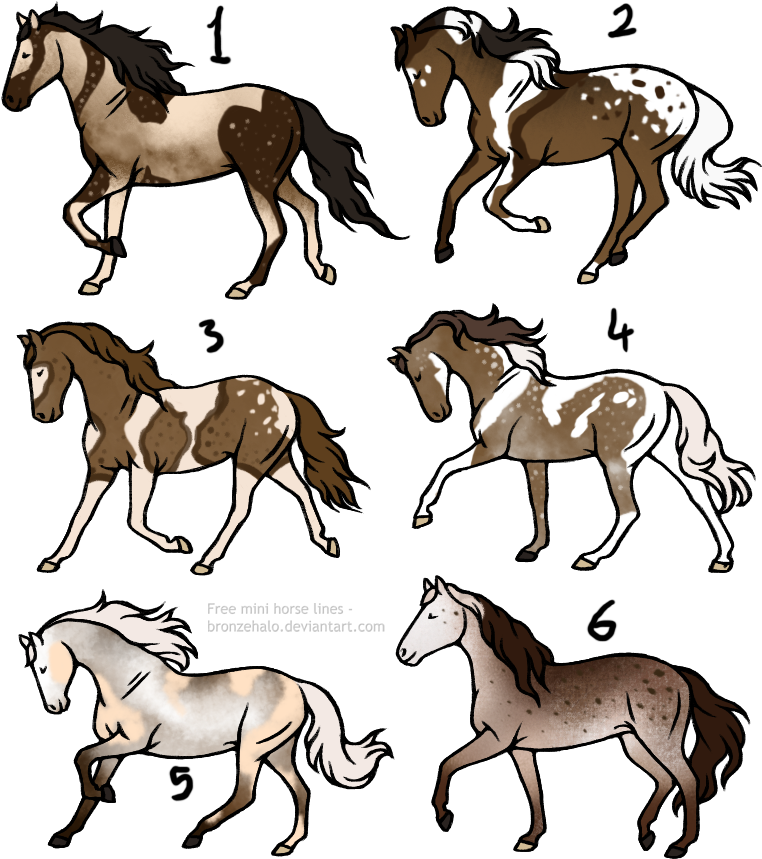 20 Point Horse Adopts [3/6] Open By Theadoptartist - Horse - Free Transparent PNG Clipart Images Download. - Horse Transparent PNG Free Download