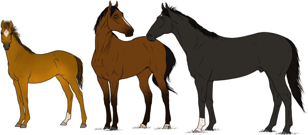 Tb Family Adopt 32 *open* By Angry Horse For Life - Family - Free Transparent PNG Clipart Images Download. - Horse Transparent PNG Free Download