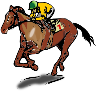 Horse Jockey Clip Art - Race Horse Shower Curtain - Free Transparent PNG Clipart Images Download. - Horse Transparent PNG Free Download