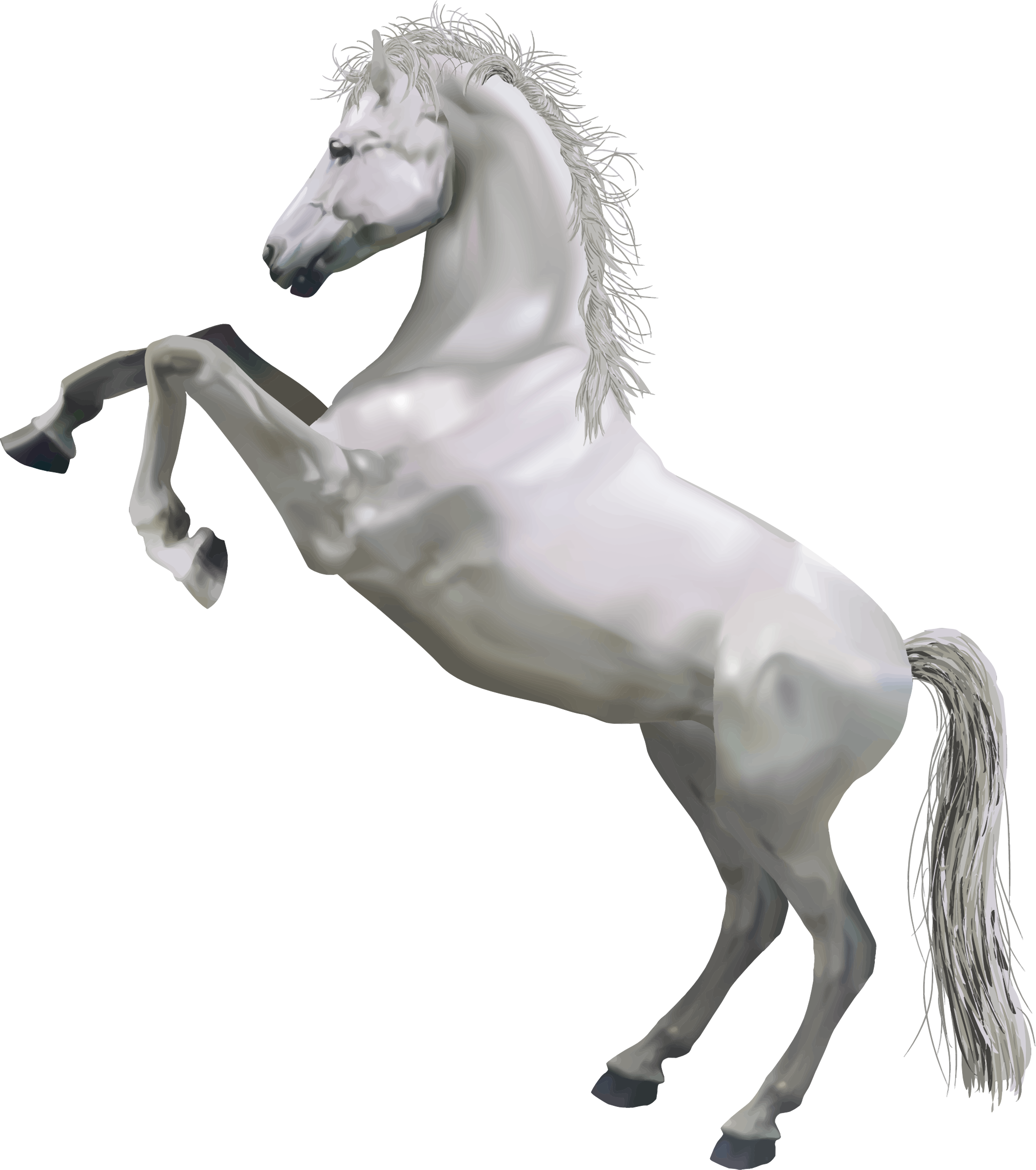 Cartoon Horse Holding Sign - Horse Standing On Hind Legs - Free Transparent PNG Clipart Images Download. - Horse Transparent PNG Free Download