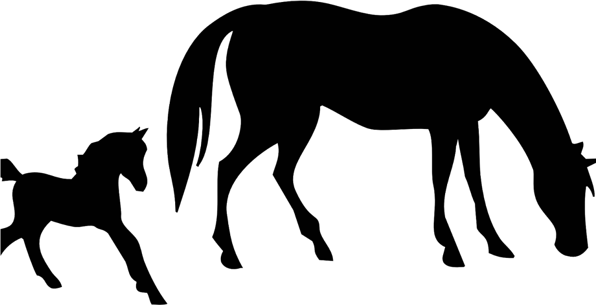 Free Mare And Foal Horse Clipart ~ Everything Horse - Horse Silhouette - Free Transparent PNG Clipart Images Download. - Horse Transparent PNG Free Download