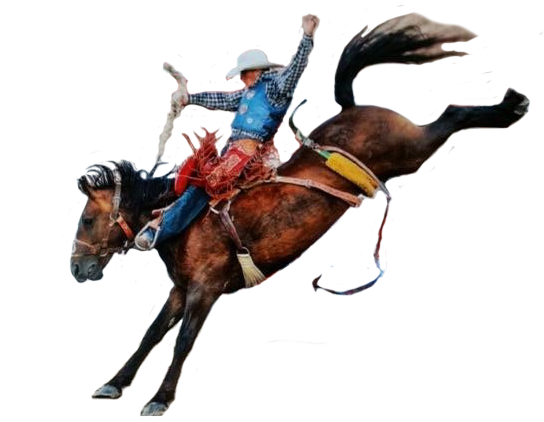 Cowboy Png - Horse And Cowboy Png - Free Transparent PNG Clipart Images Download. - Horse Transparent PNG Free Download