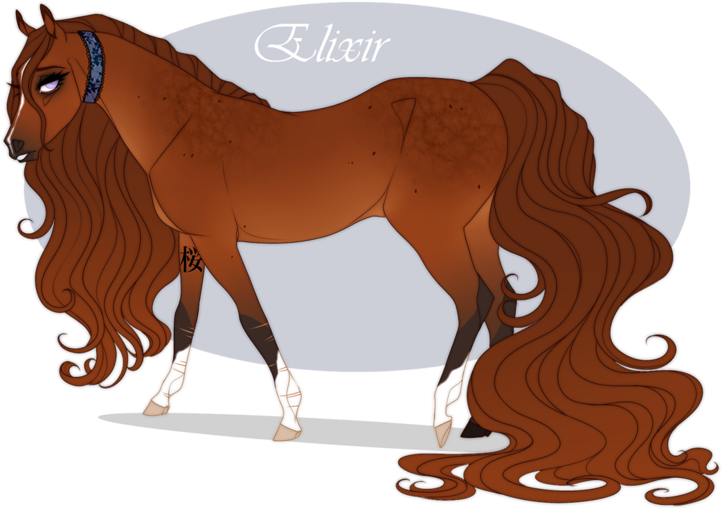 Clipart Images, Wells, Names, Horses, Pony, Pony Horse, - Sorrel Transparent PNG - 1061x753 - Free Download on - Horse Transparent PNG Free Download