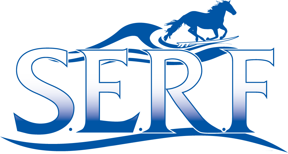 Stonewall Equine Rehab And Fitness - Bred To Win Horse Racing Bib - Free Transparent PNG Clipart Images Download. - Horse Transparent PNG Free Download