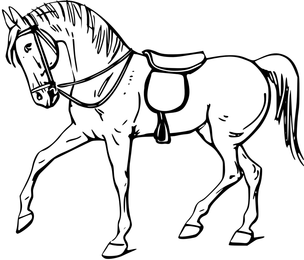 Horse Coloring Book Free Clipart Best - Horse Clipart Black And White - Free Transparent PNG Clipart Images Download. - Horse Transparent PNG Free Download
