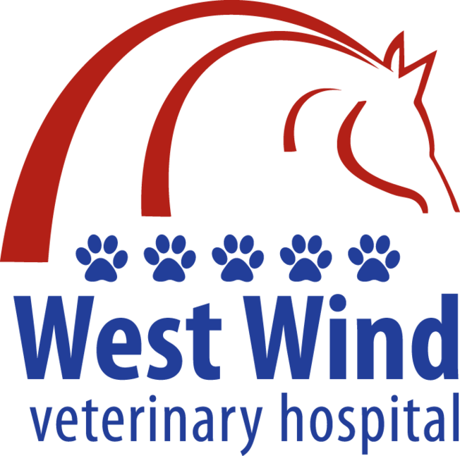 Richlu Manufacturing ~ Weaver Leather ~ Home Depot - Richlu Manufacturing ~ Weaver Leather ~ Home Depot - Free Transparent PNG Clipart Images Download. - Horse Transparent PNG Free Download