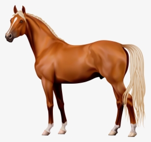 Brown Horse Png Clipart - Horse Png, Transparent - Horse Transparent PNG Free Download