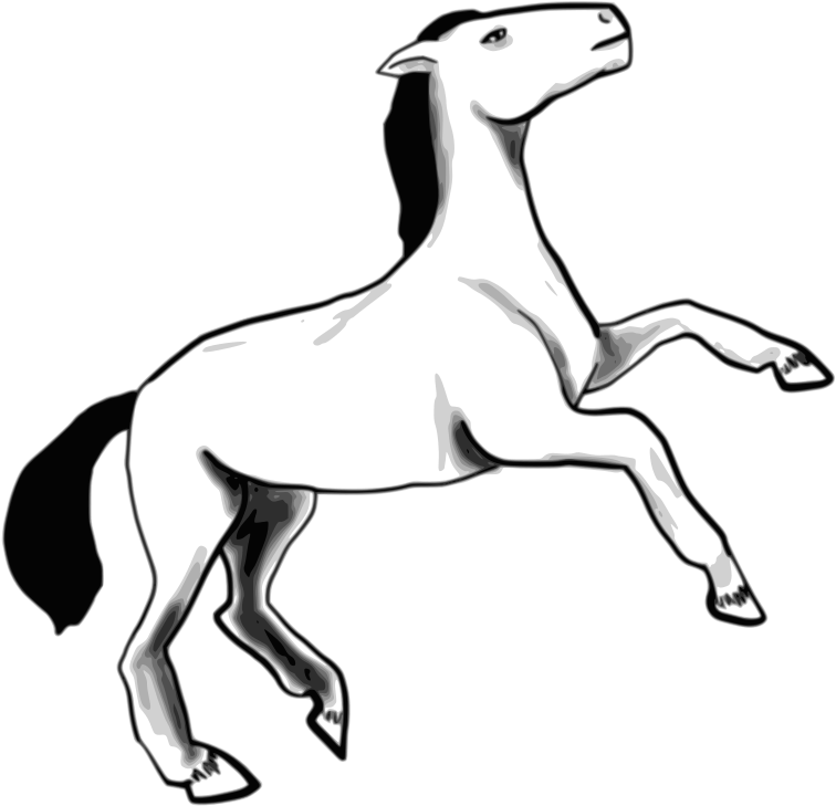 Horse Sketch Shower Curtain - Custom Horse Sketch Mugs Transparent PNG - 756x729 - Free Download on - Horse Transparent PNG Free Download