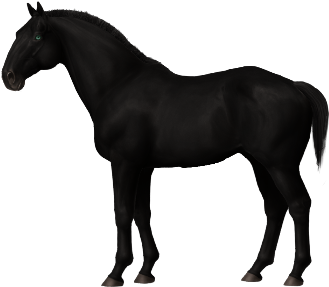 Clip Art Black Horse With Blue Eyes - Clip Art Black Horse With Blue Eyes - Free Transparent PNG Clipart Images Download. - Horse Transparent PNG Free Download