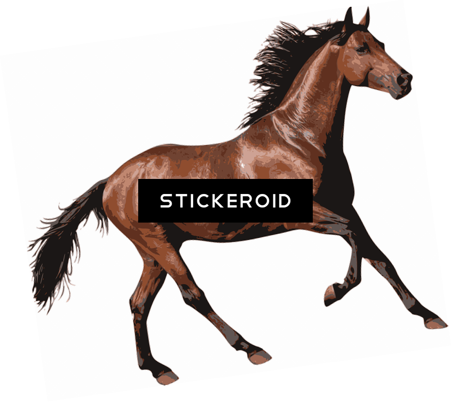 Brown Race Horse - Brown Race Horse - Free Transparent PNG Clipart Images Download. - Horse Transparent PNG Free Download