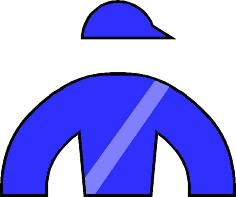 Aiken Thoroughbred Racing Hall Of Fame & Museum - Aiken Thoroughbred Racing Hall Of Fame & Museum - Free Transparent PNG Clipart Images Download. - Horse Transparent PNG Free Download