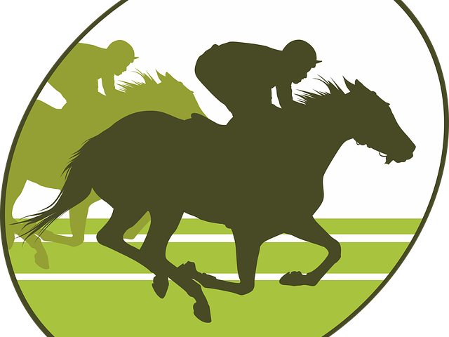 Horse Riding Clipart Racing - Horse Riding Clipart Racing - Free Transparent PNG Clipart Images Download. - Horse Transparent PNG Free Download