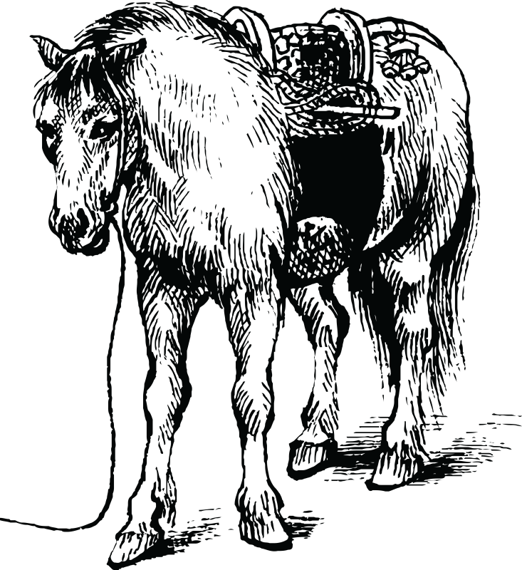 Pin Horse Png Clipart - Dibujo En Blanco Y Negro De Ciencia Y Tecnologia Transparent PNG - 733x800 - Free Download on - Horse Transparent PNG Free Download