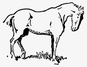 This Free Icons Png Design Of Small-eyed Horse Transparent PNG - 2400x1858 - Free Download on - Horse Transparent PNG Free Download