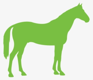 Congratulations To The Following Winners Of A Place - Green Horse Transparent PNG - 960x824 - Free Download on - Horse Transparent PNG Free Download