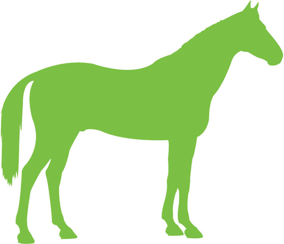 Congratulations To The Following Winners Of A Place - Green Horse Transparent PNG - 960x824 - Free Download on - Horse Transparent PNG Free Download
