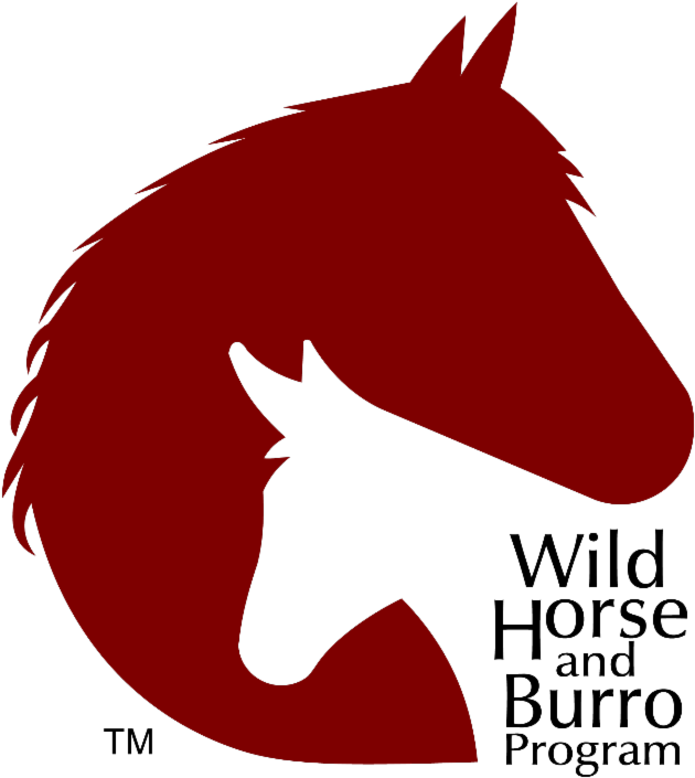 To Celebrate The Completion Of The First Phase Of Construction - To Celebrate The Completion Of The First Phase Of Construction - Free Transparent PNG Clipart Images Download. - Horse Transparent PNG Free Download