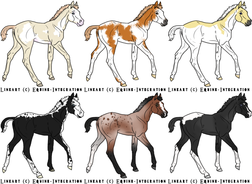 Foals From Pregnant Mare Auction By Storybookrosesadopts - Horse Foals Deviantart Transparent PNG - 900x652 - Free Download on - Horse Transparent PNG Free Download