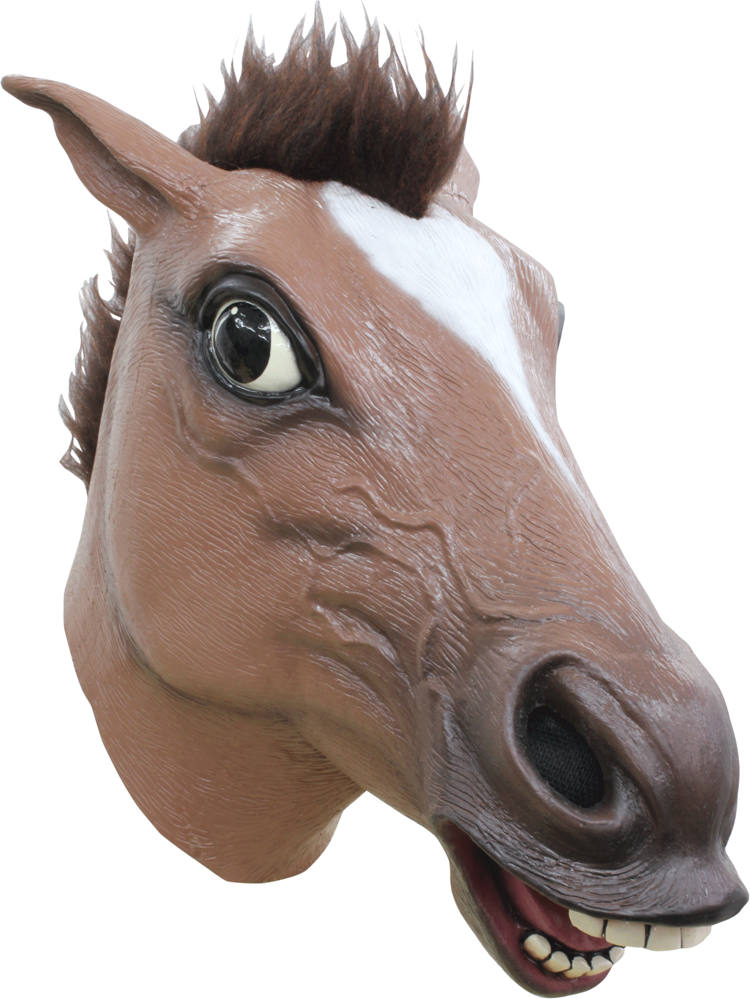 Horse Brown Mask - Mascara De Caballo Png Transparent PNG - 1537x2048 - Free Download on - Horse Transparent PNG Free Download