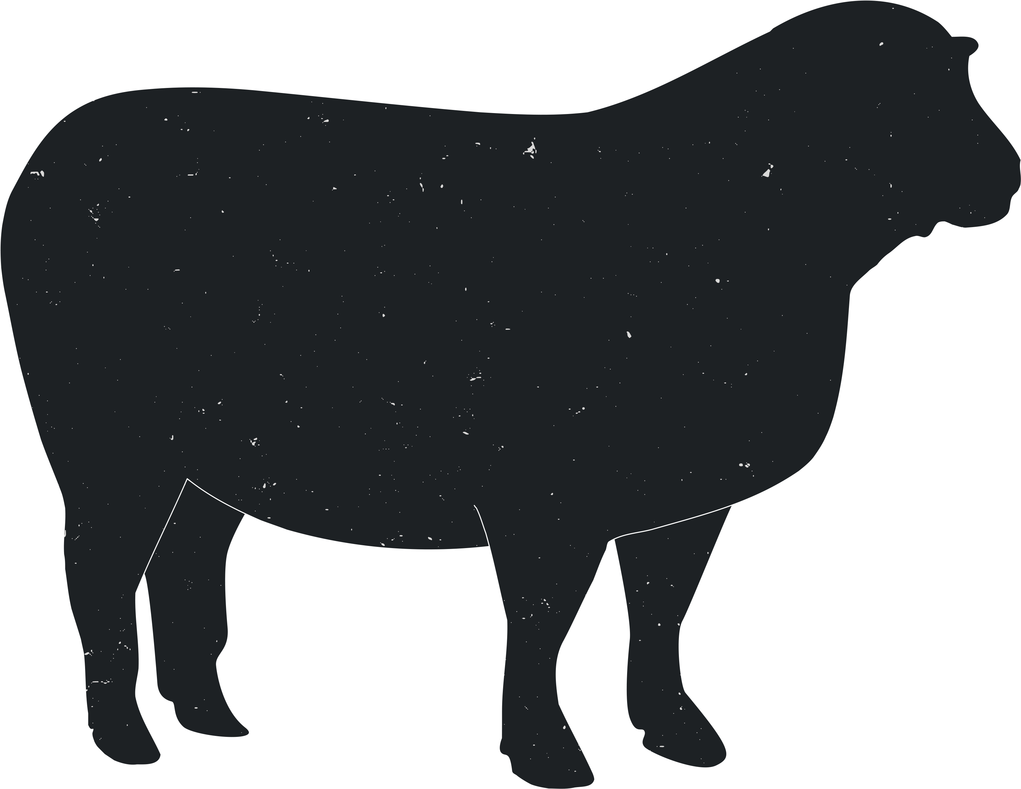 Cattle Ox Animal Silhouettes Transprent Png Free Ⓒ - Cattle Ox Animal Silhouettes Transprent Png Free Ⓒ - Free Transparent PNG Clipart Images Download. - Horse Transparent PNG Free Download