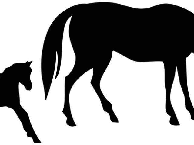 Foal Clipart Realistic Horse - Foal Clipart Realistic Horse - Free Transparent PNG Clipart Images Download. - Horse Transparent PNG Free Download