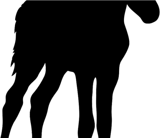 Foal Clipart Simple Horse - Foal Clipart Simple Horse - Free Transparent PNG Clipart Images Download. - Horse Transparent PNG Free Download
