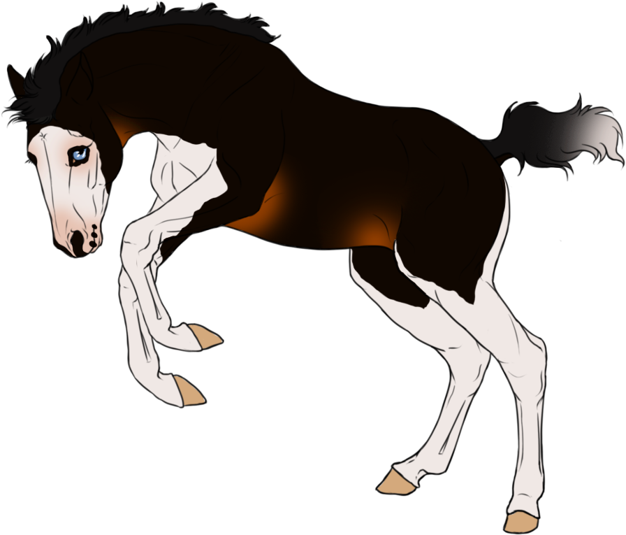 Tb Lineage Foal Auction *sold* By Angry Horse For Life - Tb Lineage Foal Auction *sold* By Angry Horse For Life - Free Transparent PNG Clipart Images Download. - Horse Transparent PNG Free Download