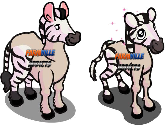 Zorse Horse & Zorse Foal - Zorse Horse & Zorse Foal - Free Transparent PNG Clipart Images Download. - Horse Transparent PNG Free Download