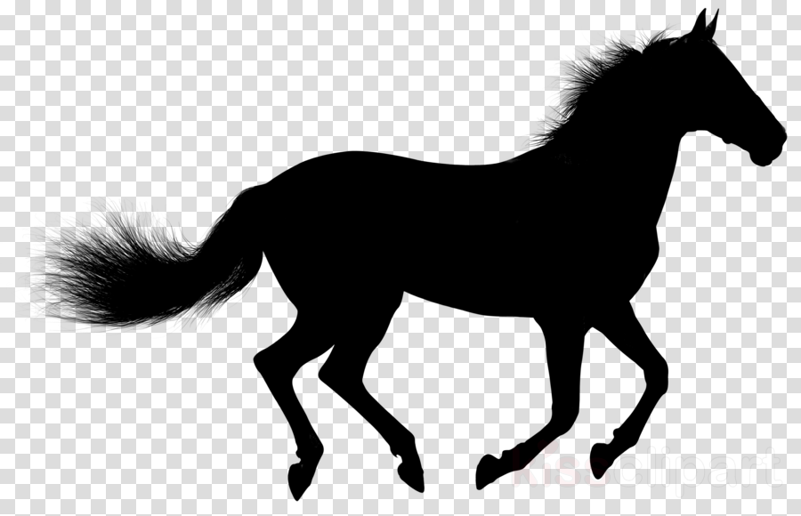 Silhueta Cavalo Png Clipart Horse - Silhueta Cavalo Png Clipart Horse - Free Transparent PNG Clipart Images Download. - Horse Transparent PNG Free Download