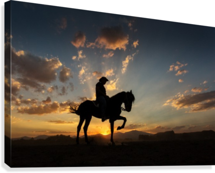 Western Cowboys Riding Horses, Roping Wild Horses Canvas - Cowboys Riding On Horse Transparent PNG - 429x344 - Free Download on - Horse Transparent PNG Free Download