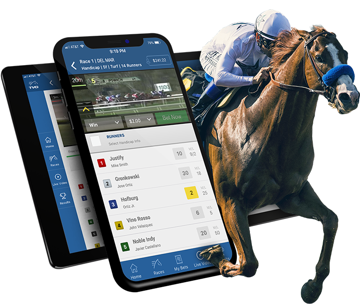 When You Are Betting With Horse Racing Online Gambling - Monmouth Park Transparent PNG - 803x658 - Free Download on - Horse Transparent PNG Free Download